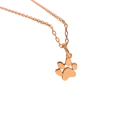 Aura Beadery™ Personalized Paw Print Name Necklace