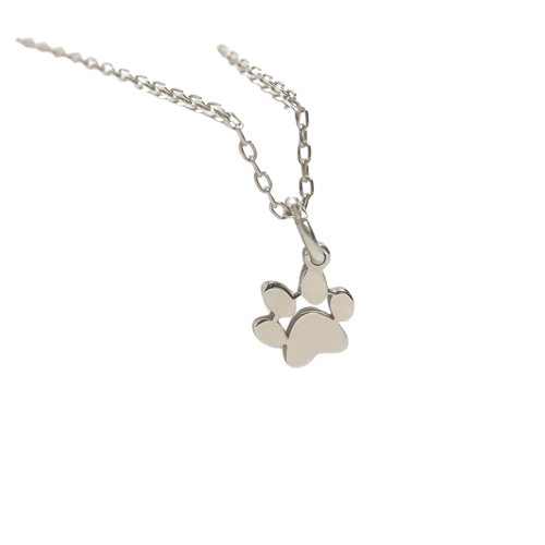 Aura Beadery™ Personalized Paw Print Name Necklace