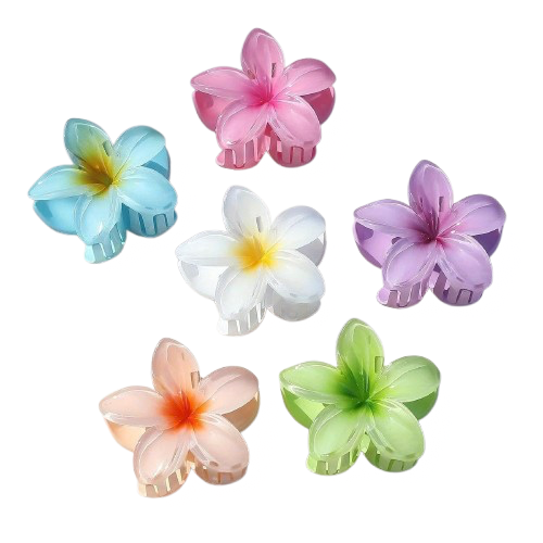 Aura Lifestyle™ 6-Pcs Hawaiian Claw Clips