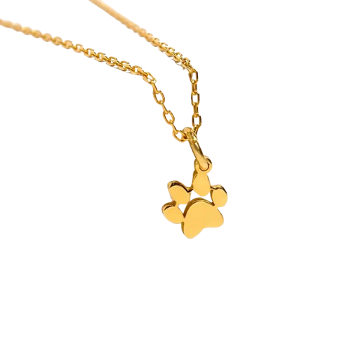 Aura Beadery™ Personalized Paw Print Name Necklace